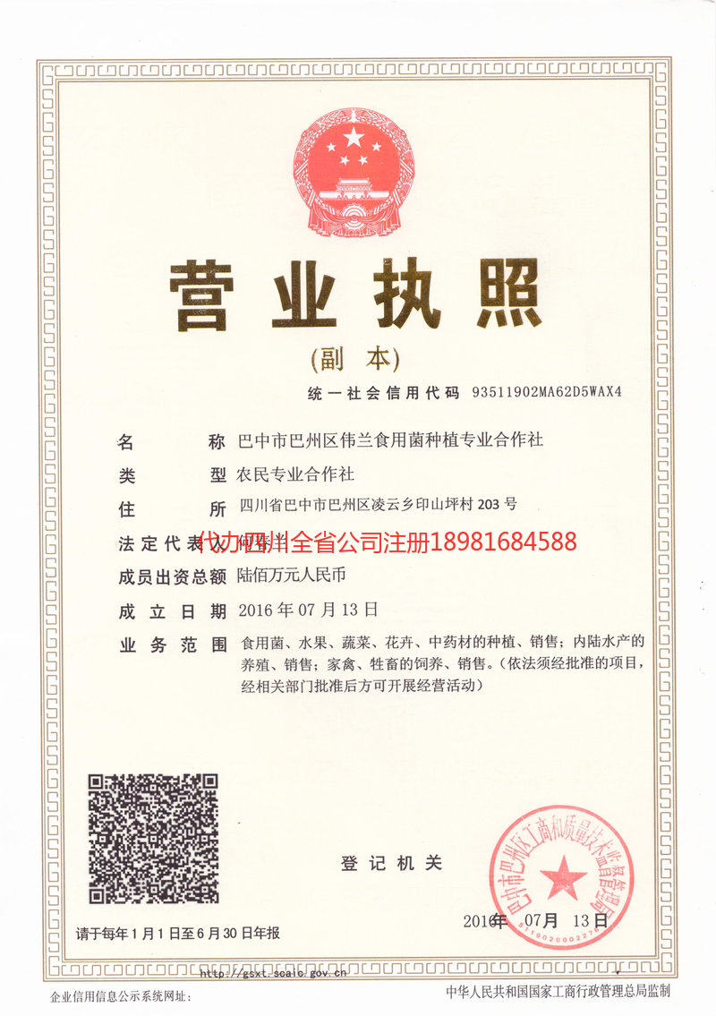 中山中山伟兰食用菌种植专业合作社